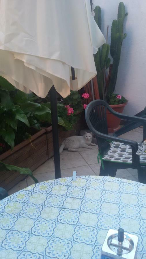 Nenna Daire Olbia Dış mekan fotoğraf